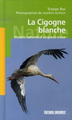 La cigogne blanche - histoire naturelle d'un grand retour