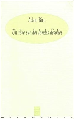 Un rêve sur des landes désolées