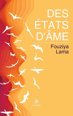 Des états d'âme