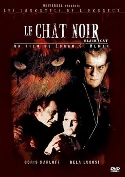 Le Chat noir