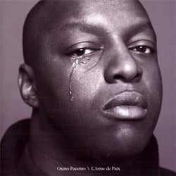 L'arme de paix