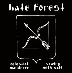 Celestial Wanderer - Sowing With Salt