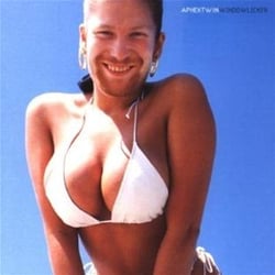 Windowlicker - CD