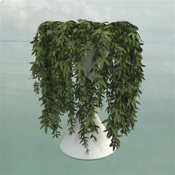 Lease of life