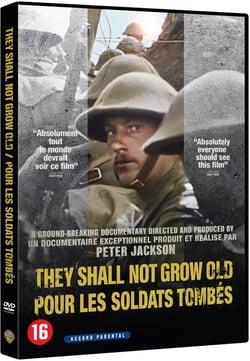 Pour les soldats tombés