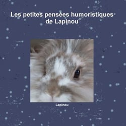 Les petites pensées humoristiques de Lapinou