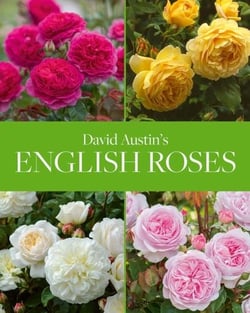David Austin's : english roses