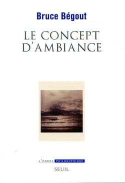 Le concept d'ambiance