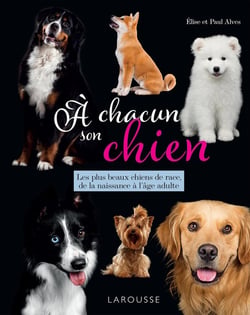 A chacun son chien