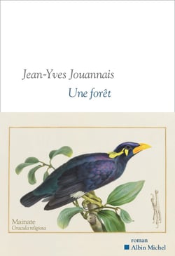 Une forêt