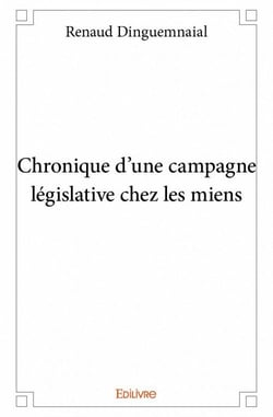 Chronique d'une campagne législative chez les miens