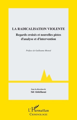 La radicalisation violente : Regards croisés et nouvelles pistes d'analyse et d'intervention