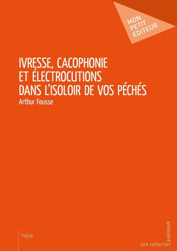 Ivresse, Cacophonie et Électrocutions, dans l'isoloir de vos péchés