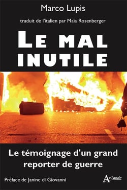 Le mal inutile : Le témoignage d'un grand reporter de guerre