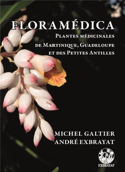 Floramédica - plantes médicinales de Martinique, Guadeloupe et des Petites Antilles