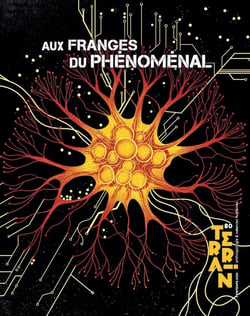 Terrain n.80 : Aux franges du phénoménal