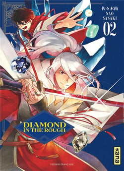 Diamond in the rough Tome 2