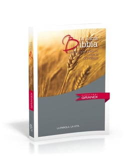 Nuovo testamento - salmi proverbi