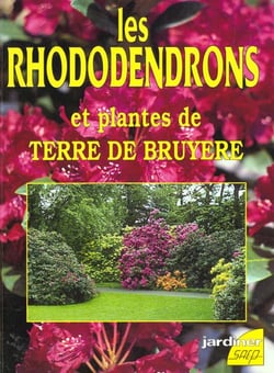 Les rhododendrons et plantes de terre de bruyere