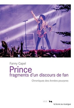 Prince, fragments d'un discours de fan - chroniques des annéess pourpres