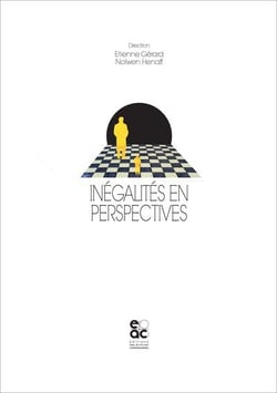 Inégalités en perspectives