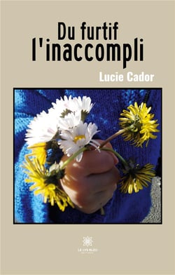 Du furtif l'inaccompli
