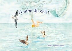 Tombé du ciel !