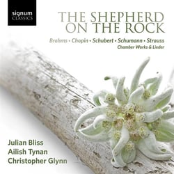 The shepherd on the rock