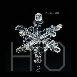 H20