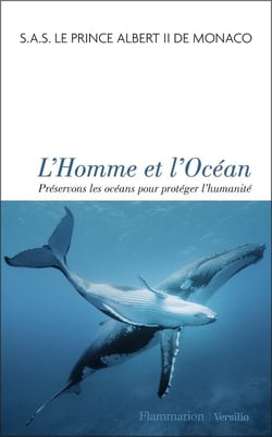 L'homme et l'océan : préservons les océans pour protéger l'humanité
