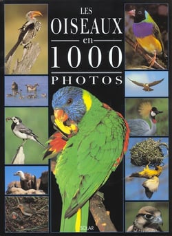 Les oiseaux en 1000 photos