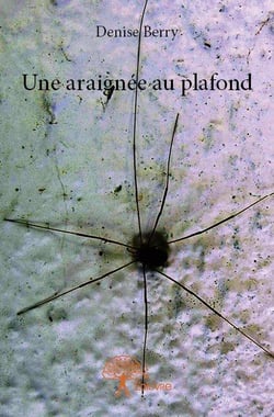 Une araignée au plafond