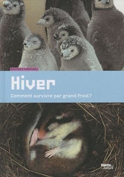 Hiver - comment survivre par grand froid ?