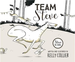 Team Steve