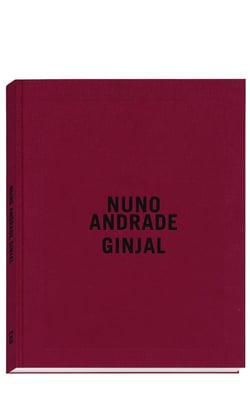 Nuno Andrade : Ginjal
