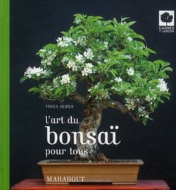 L'art du bonsaï pour tous