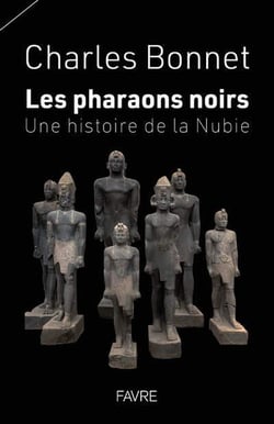 Les pharaons noirs : Une histoire de la Nubie