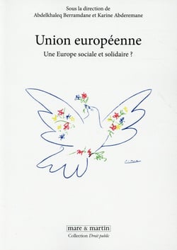 Union Européenne