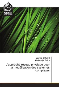 L'approche reseau physique pour la modelisation des systemes complexes
