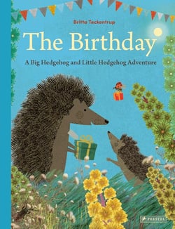 The Birthday : A Big Hedgehog and Little Hedgehog Adventure