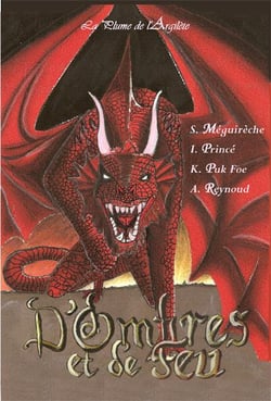 D'ombres et de feu - histoires de dragons