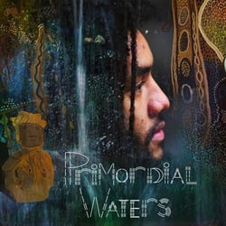 Primordial Waters