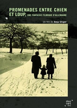 Promenades entre chien et loup : Une fantaisie filmique d'Allemagne