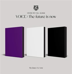Voice : The Future is Now