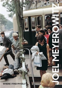 Joel Meyerowitz : where i find myself