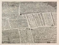 Xu bing landscape landscript
