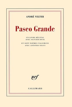 Paseo grande