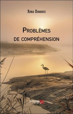 Problèmes de compréhension