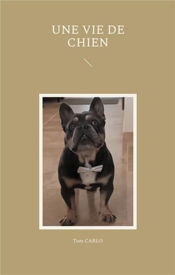 Une vie de chien - illustrations, couleur