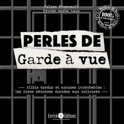 Perles de garde à vue : alibis tordus et excuses improbables - les pires réponses données aux policiers